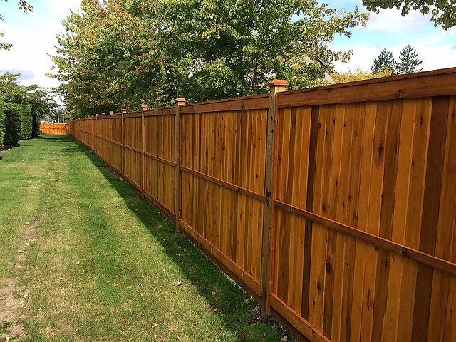 Cost Considerations for Fence Staining