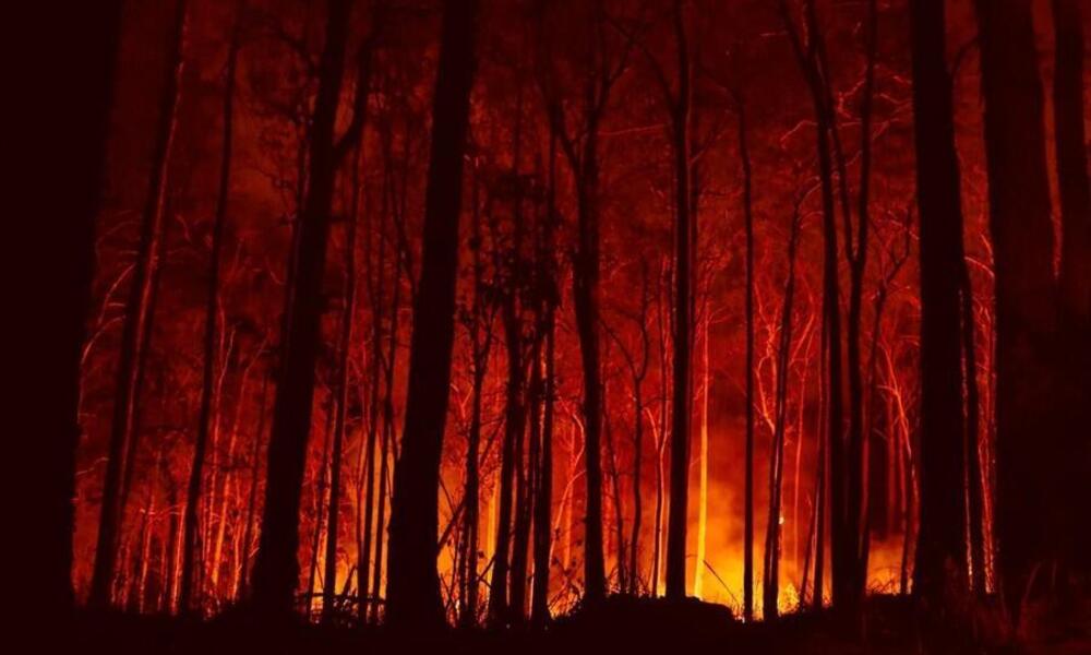 Bushfire Protection Australia Ensures Compliance with Building Regulations