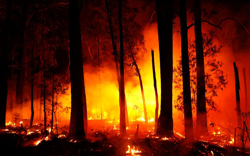 Bushfire Protection Australia Assists Clients in Receiving Suitable Insurance Coverage