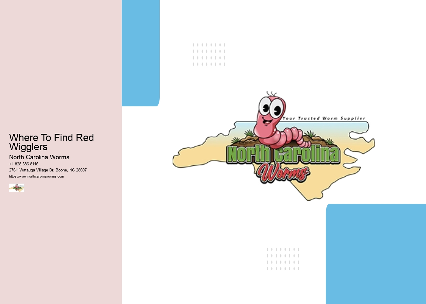 Where To Find Red Wigglers