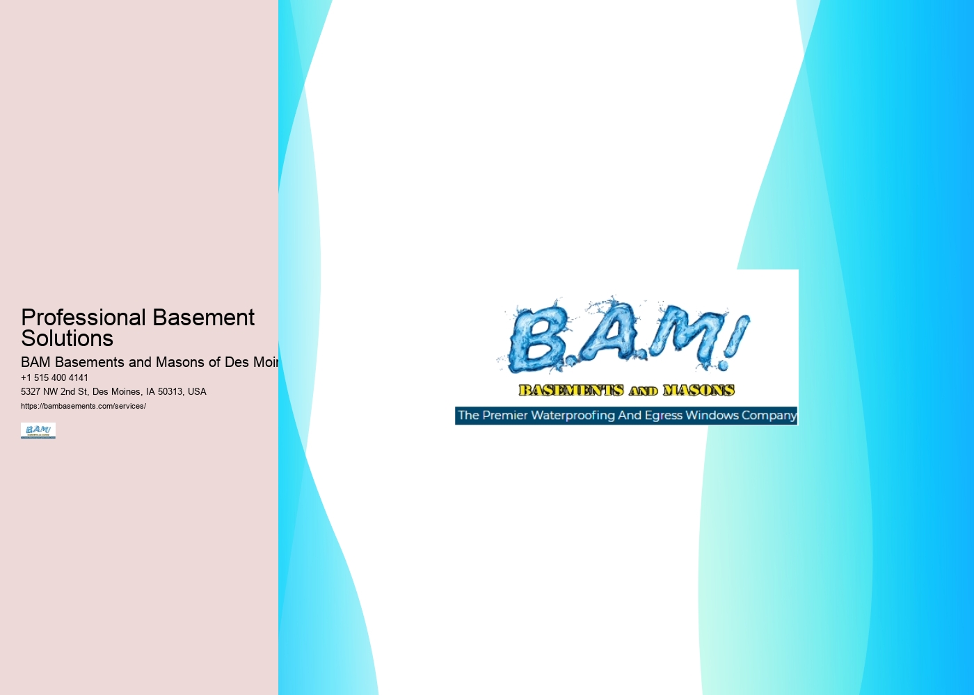 Professional Basement Solutions