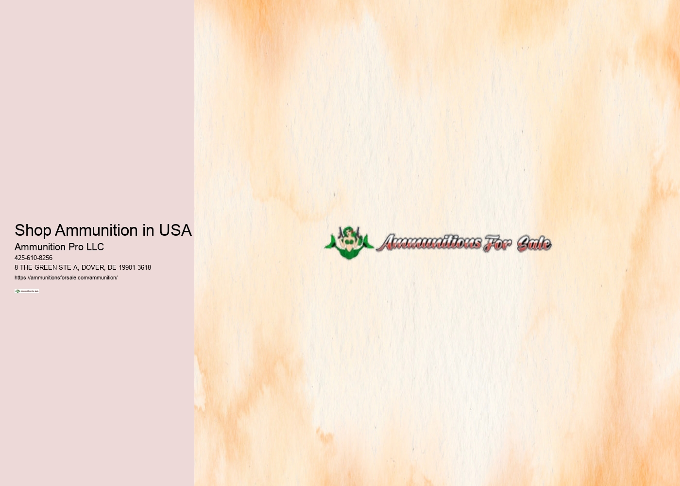 Shop Ammunition in USA