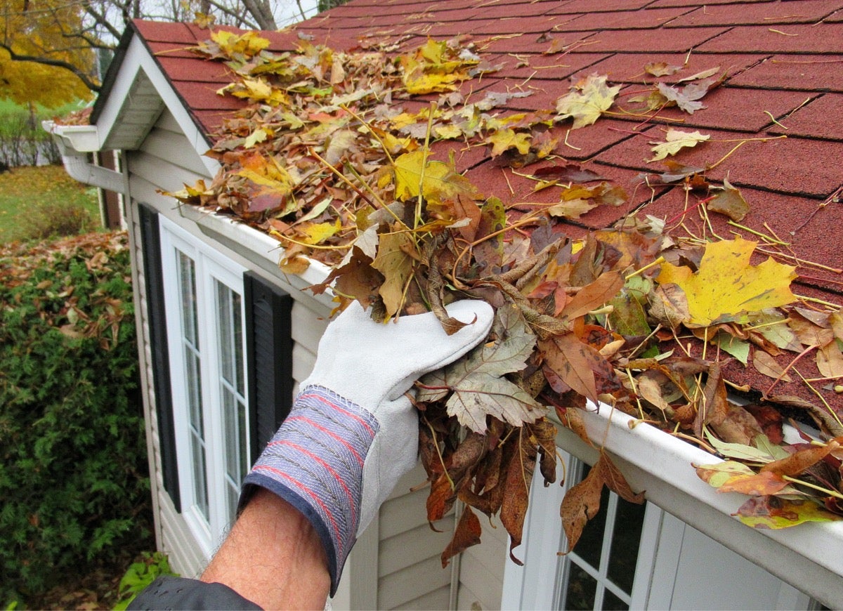 Choosing the Right Gutter Cleaning Service