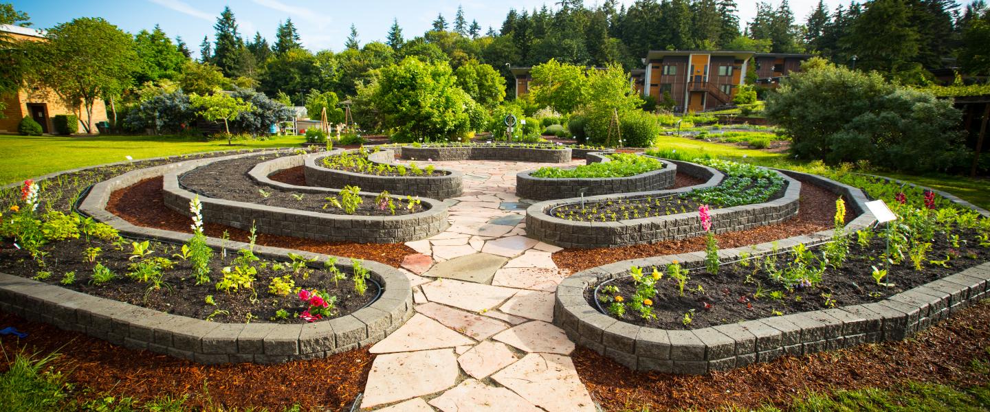 Sustainable Landscaping Ideas