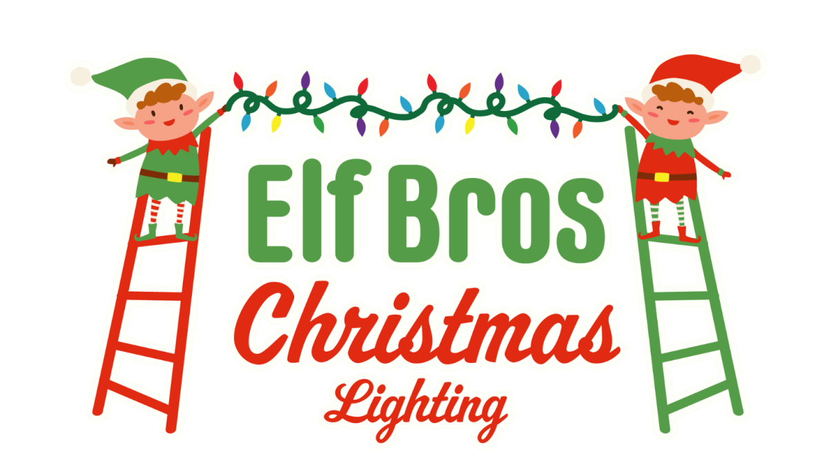 Types of Christmas Light Designs Offered