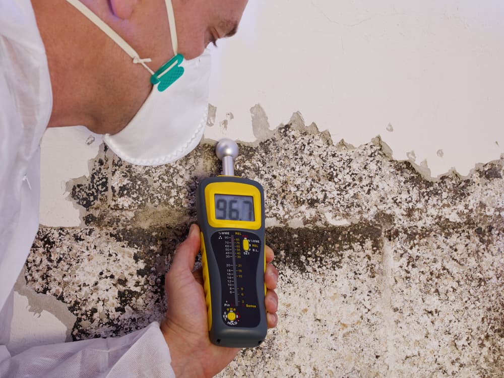 Types of Mold Testing Methods