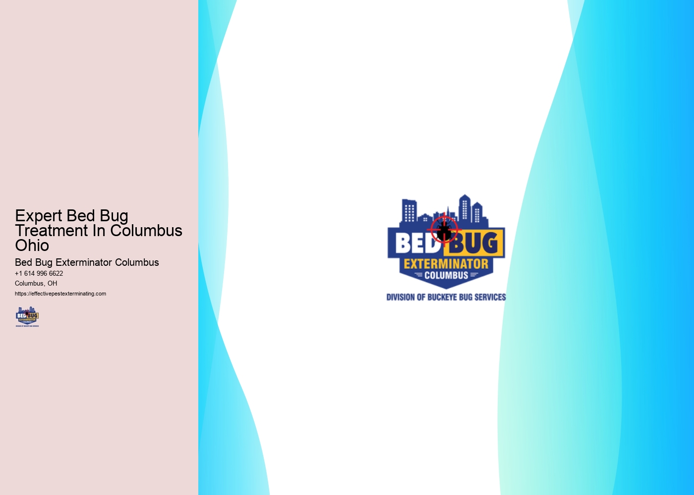 Expert Bed Bug Treatment In Columbus Ohio