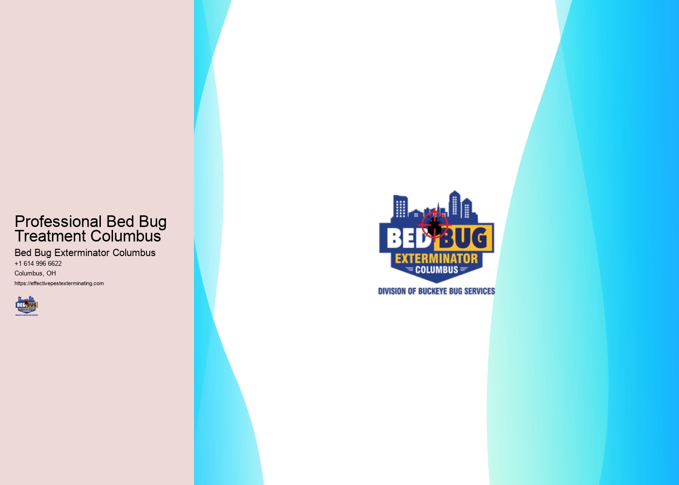 Professional Bed Bug Treatment Columbus