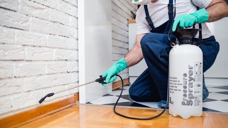 Benefits of Regular Pest Inspections