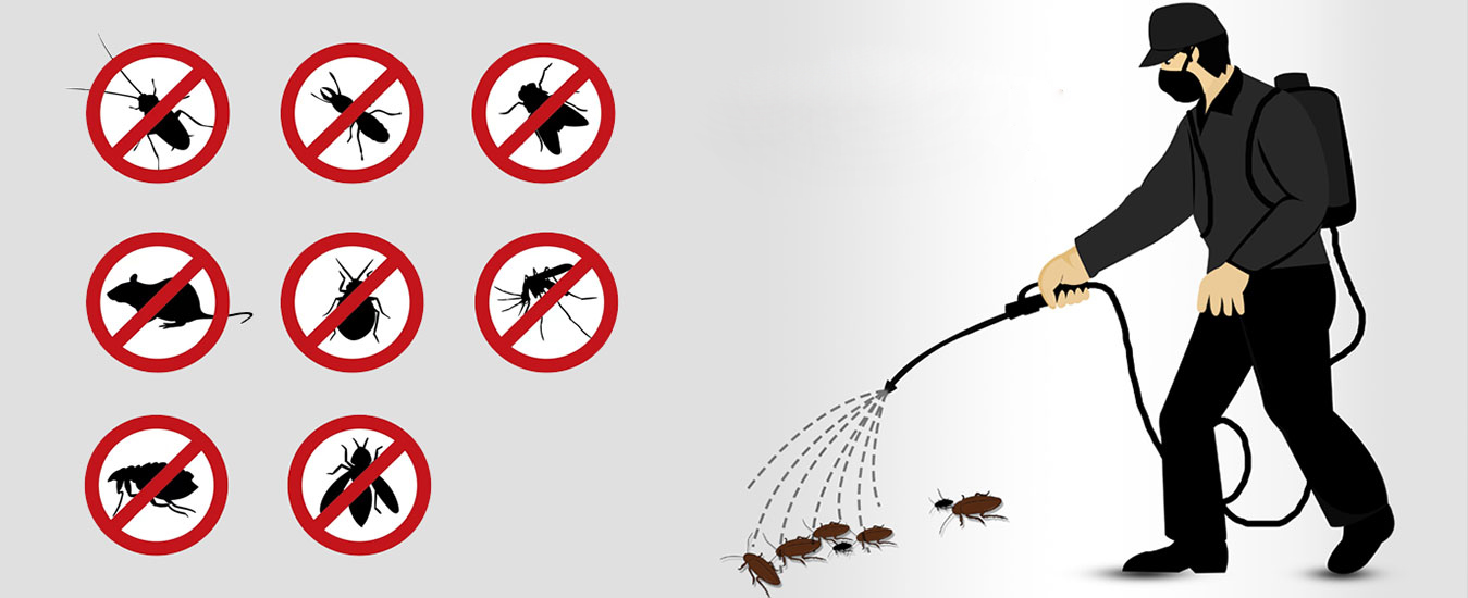 Choosing the Right Exterminator