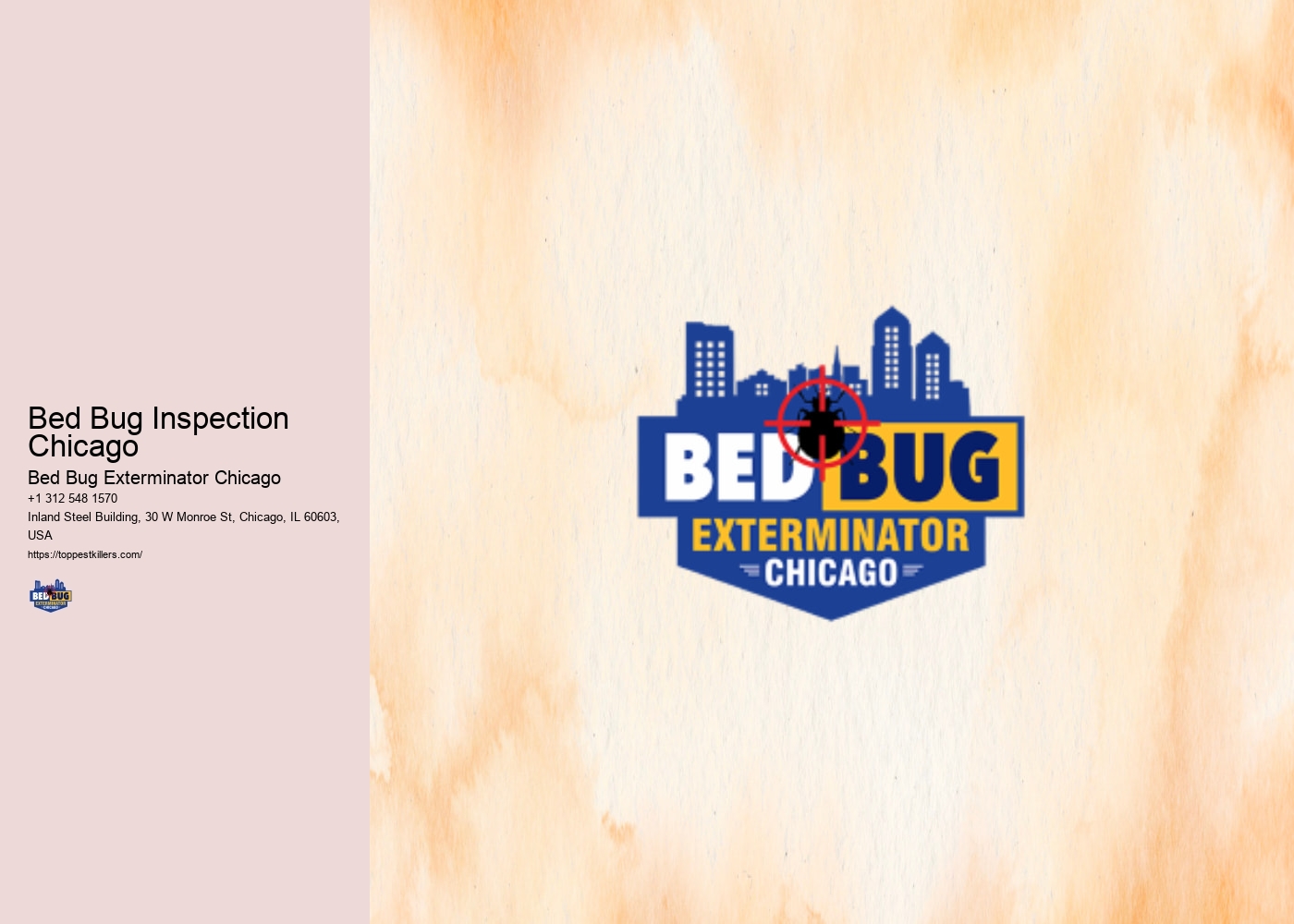 Bed Bug Inspection Chicago