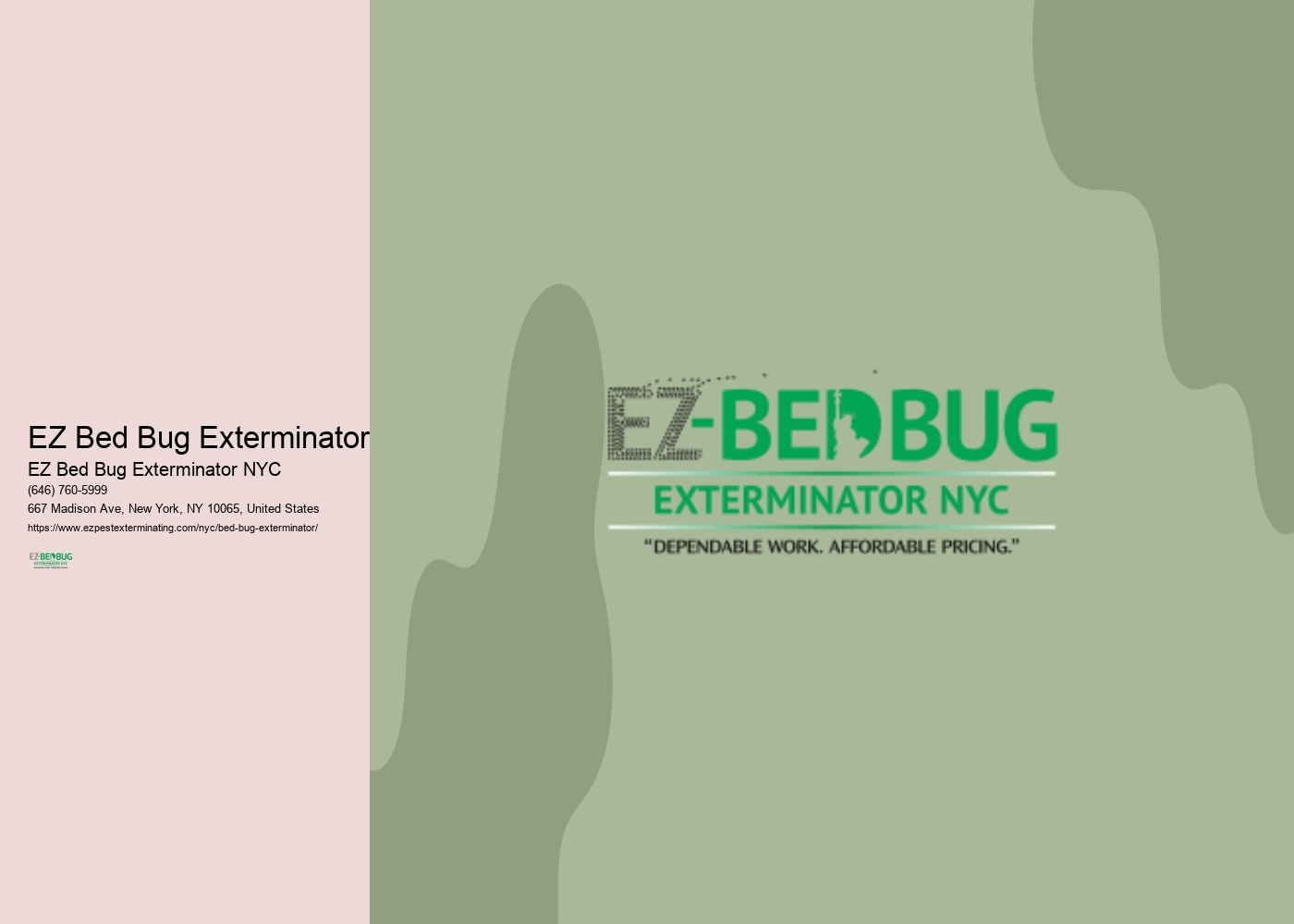 EZ Bed Bug Exterminator