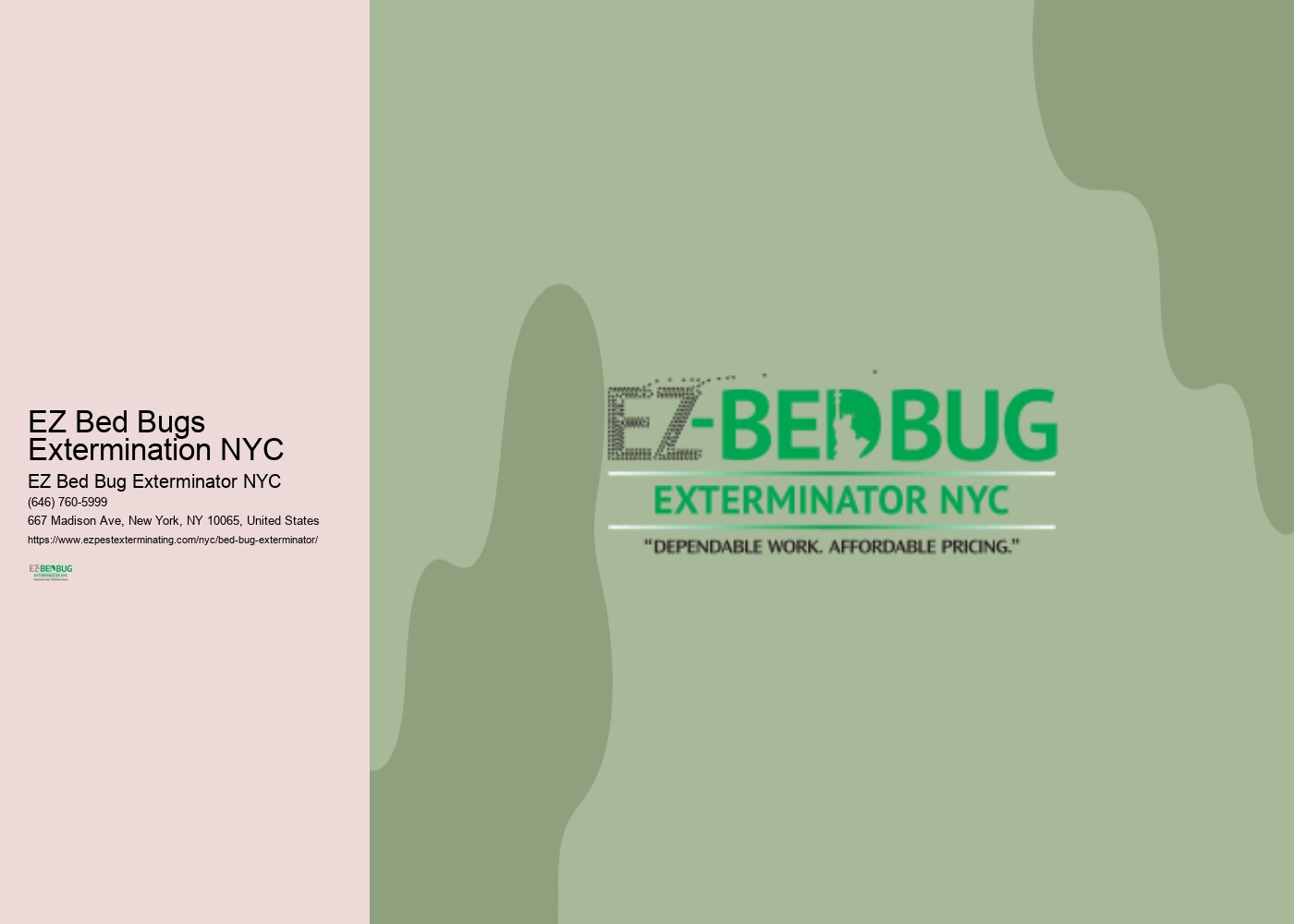 EZ Bed Bugs Extermination NYC