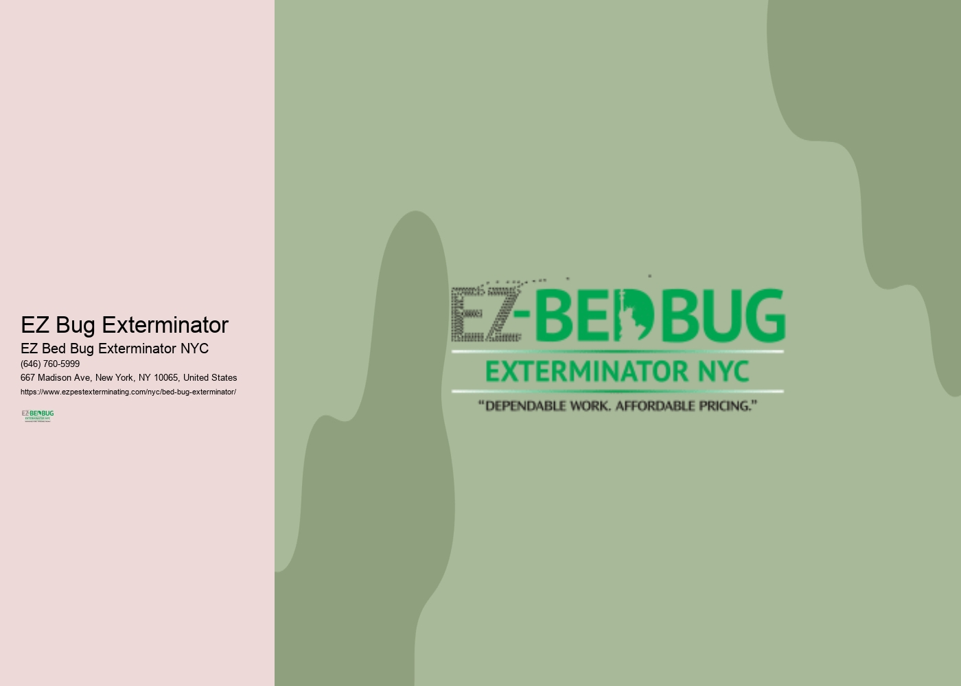 EZ Bug Exterminator