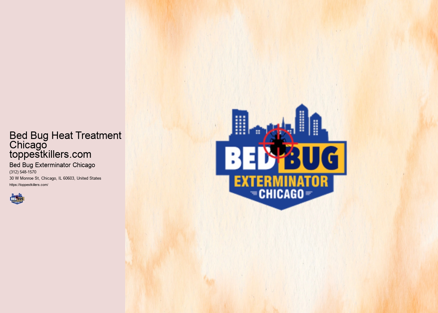 Bed Bug Heat Treatment Chicago toppestkillers.com