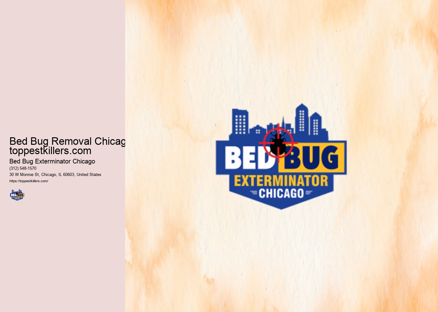 Bed Bug Removal Chicago toppestkillers.com