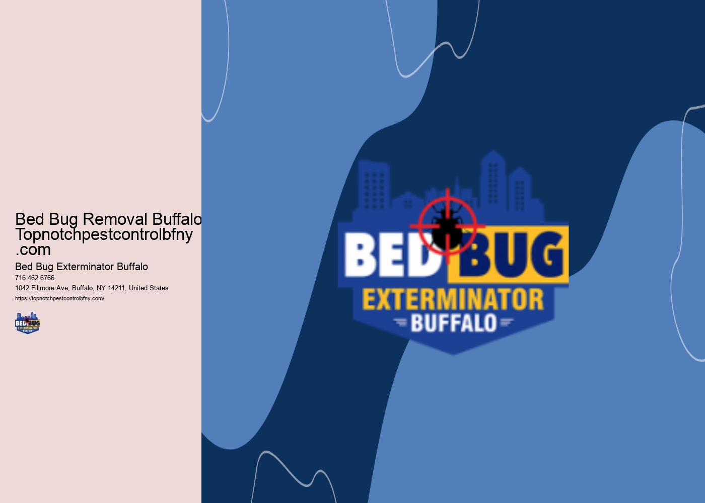 Bed Bug Removal Buffalo Topnotchpestcontrolbfny.com