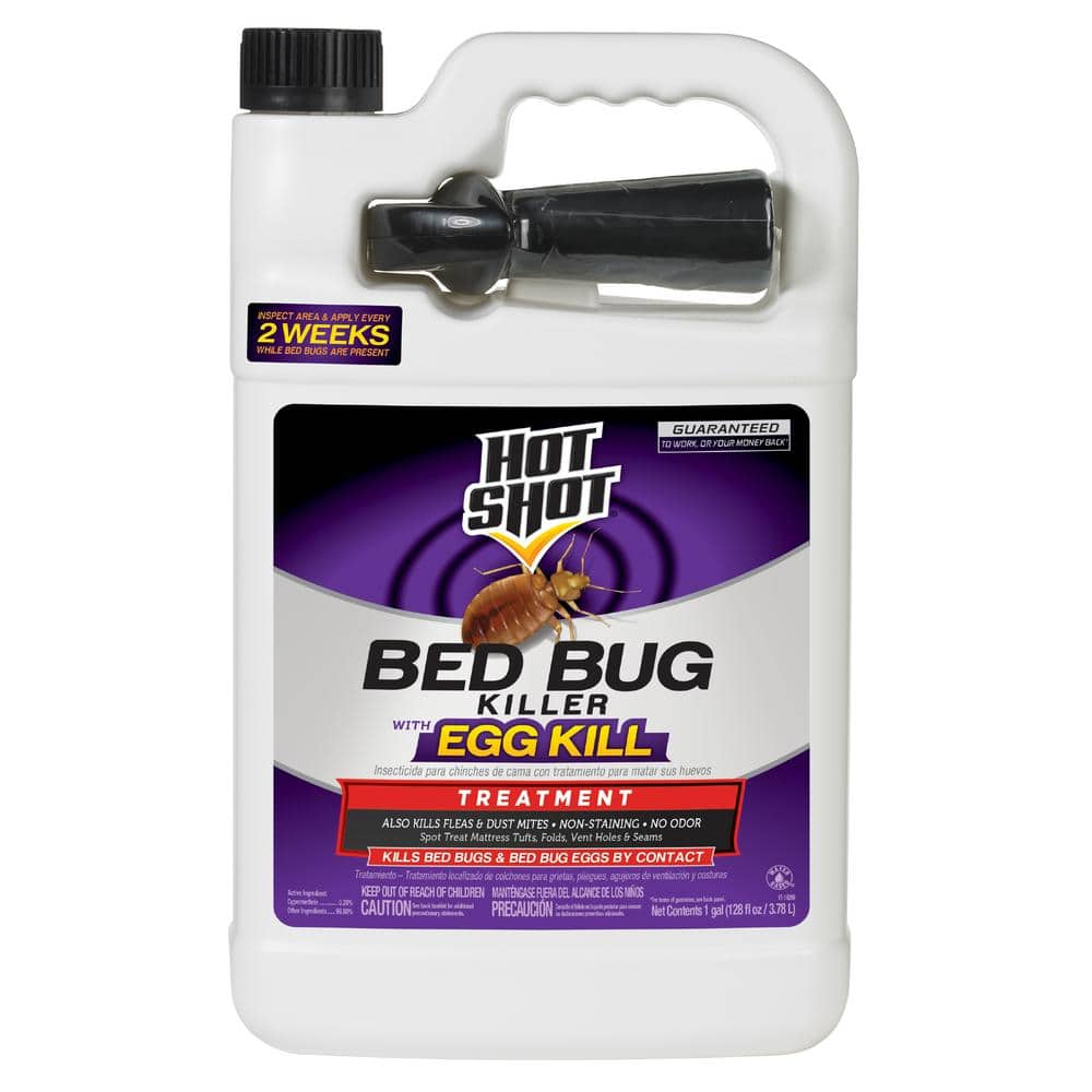 Maintaining a Bed Bug-Free Home