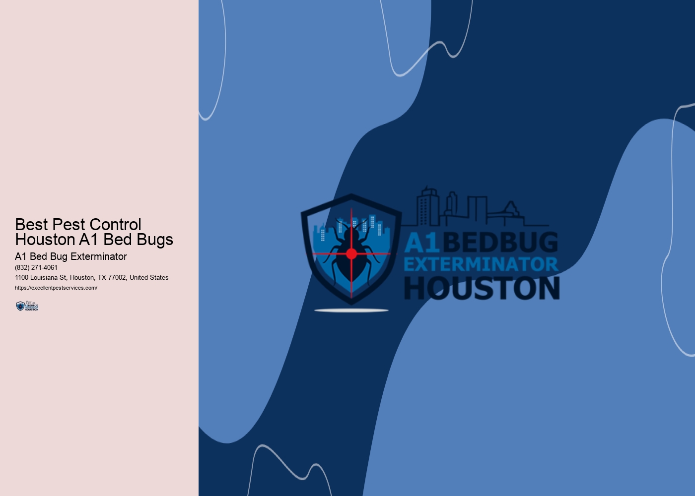 Best Pest Control Houston A1 Bed Bugs