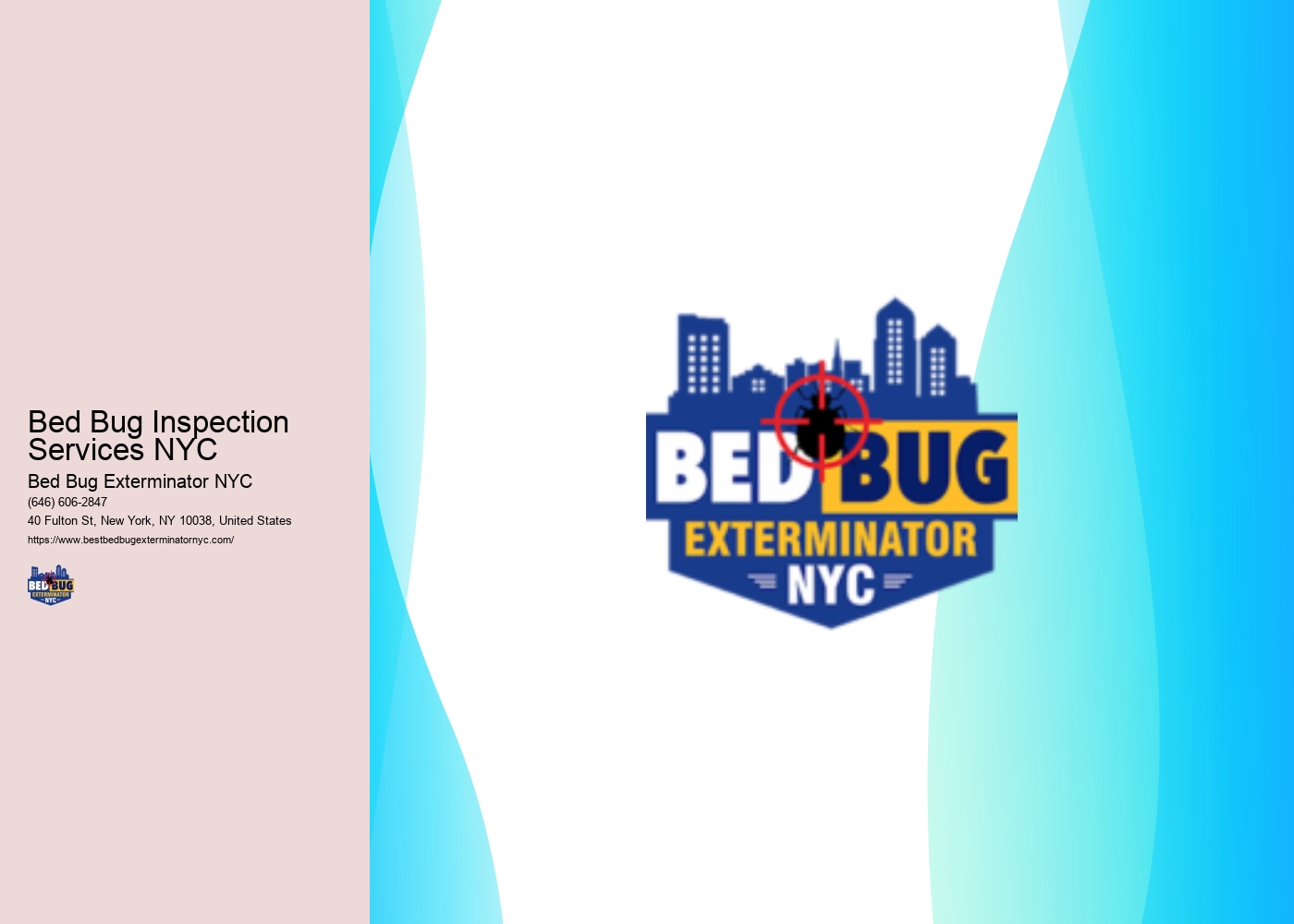 Bed Bug Inspection Services NYC