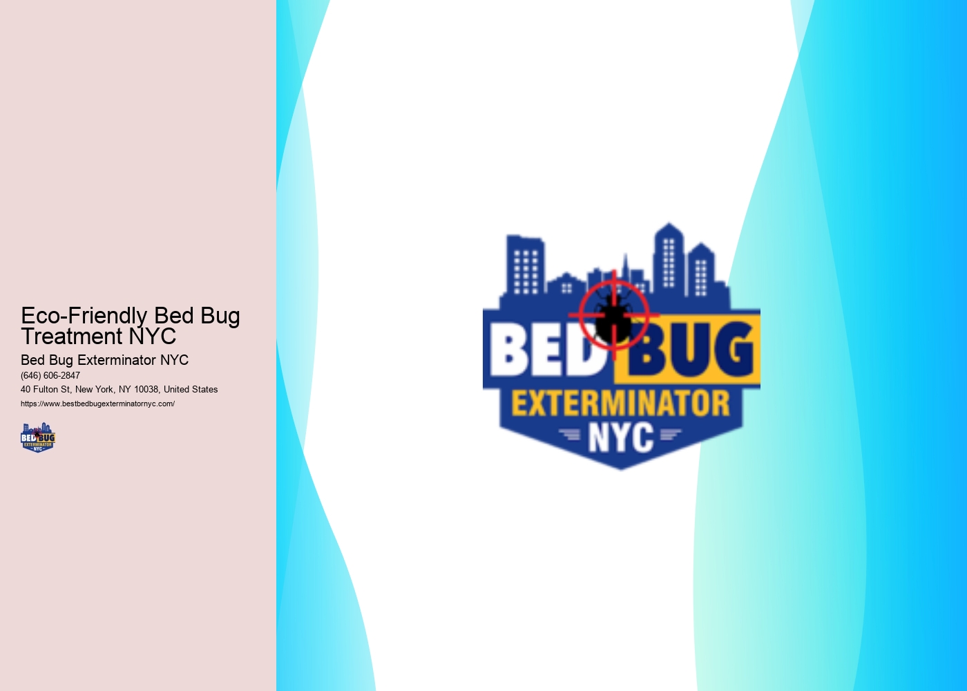 Eco-Friendly Bed Bug Treatment NYC