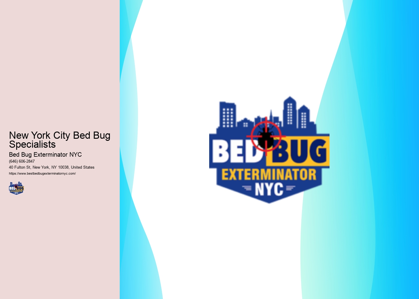 New York City Bed Bug Specialists