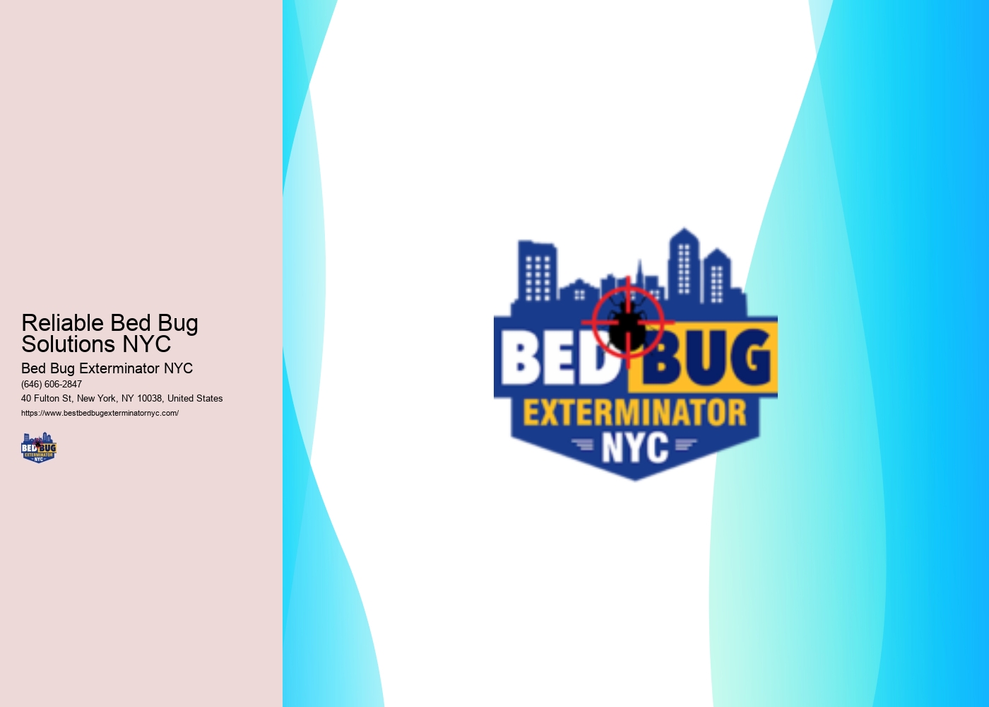 Reliable Bed Bug Solutions NYC