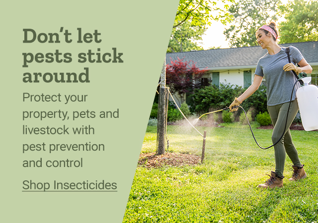 Preventive Measures for Pest Control