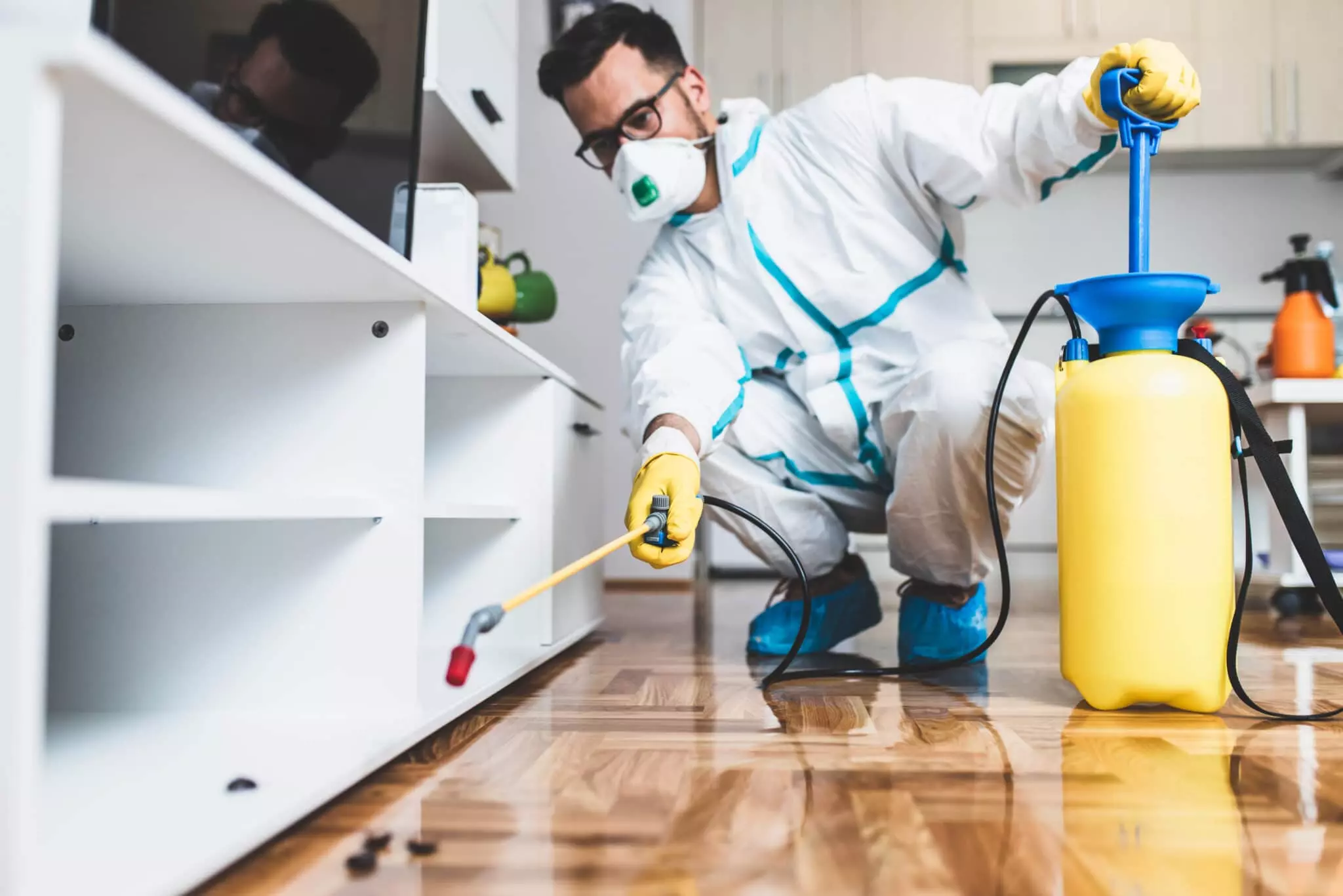 Choosing the Right Pest Control Service