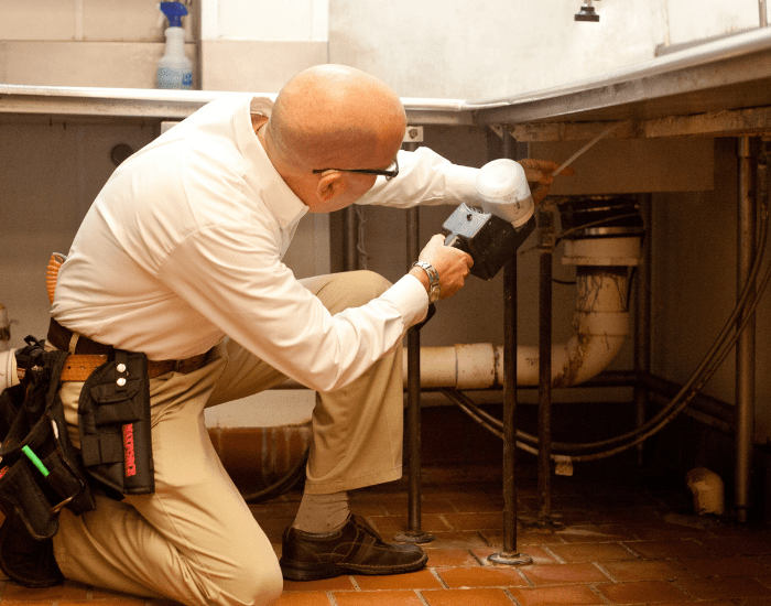 Maintaining a Pest-Free Home