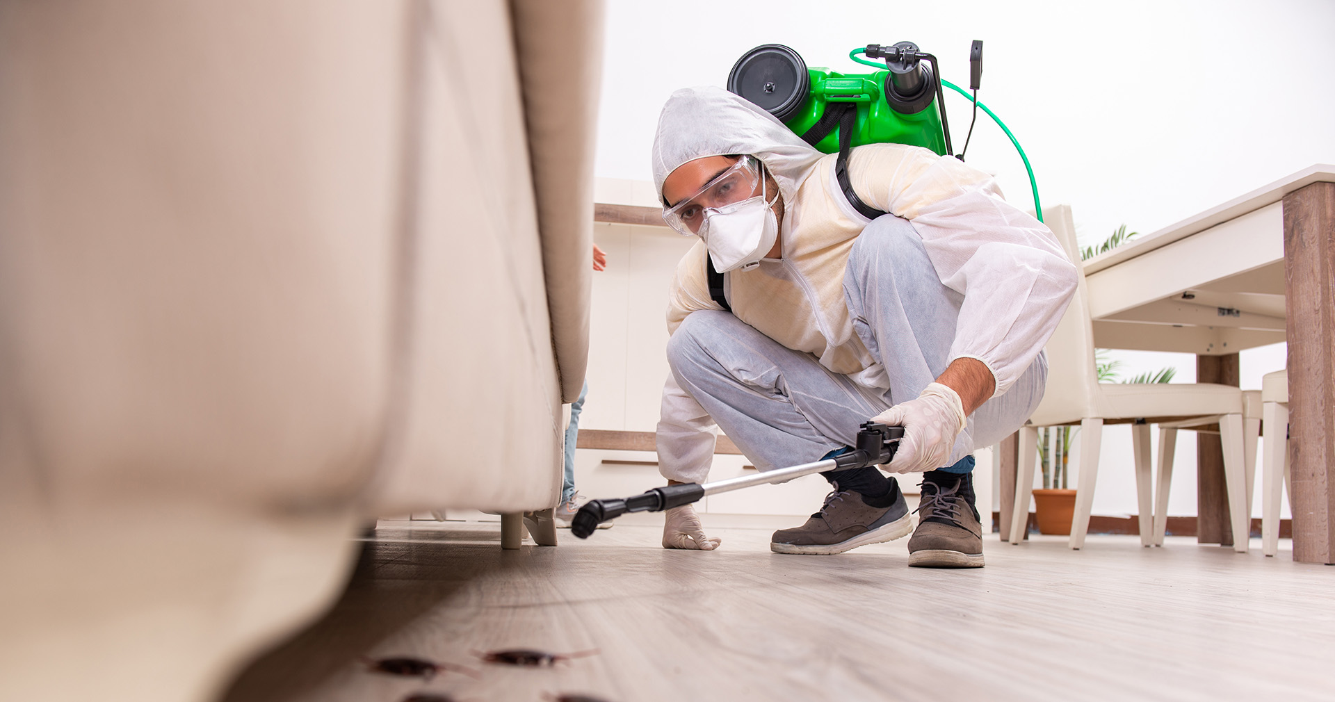 Effective DIY Pest Control Methods