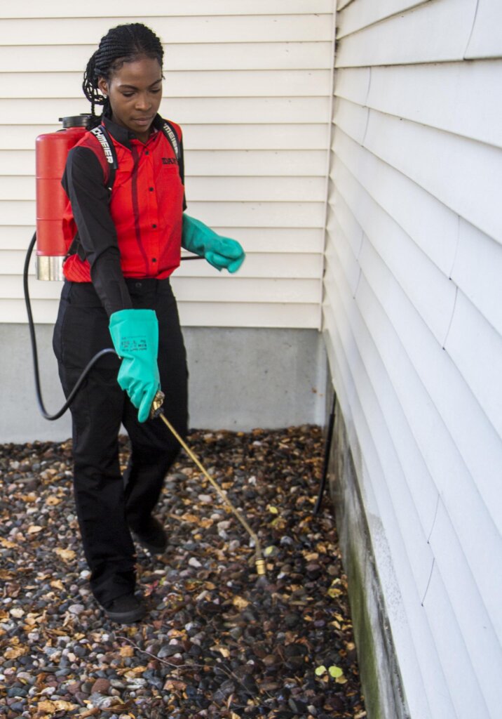 Maintaining a Pest-Free Environment