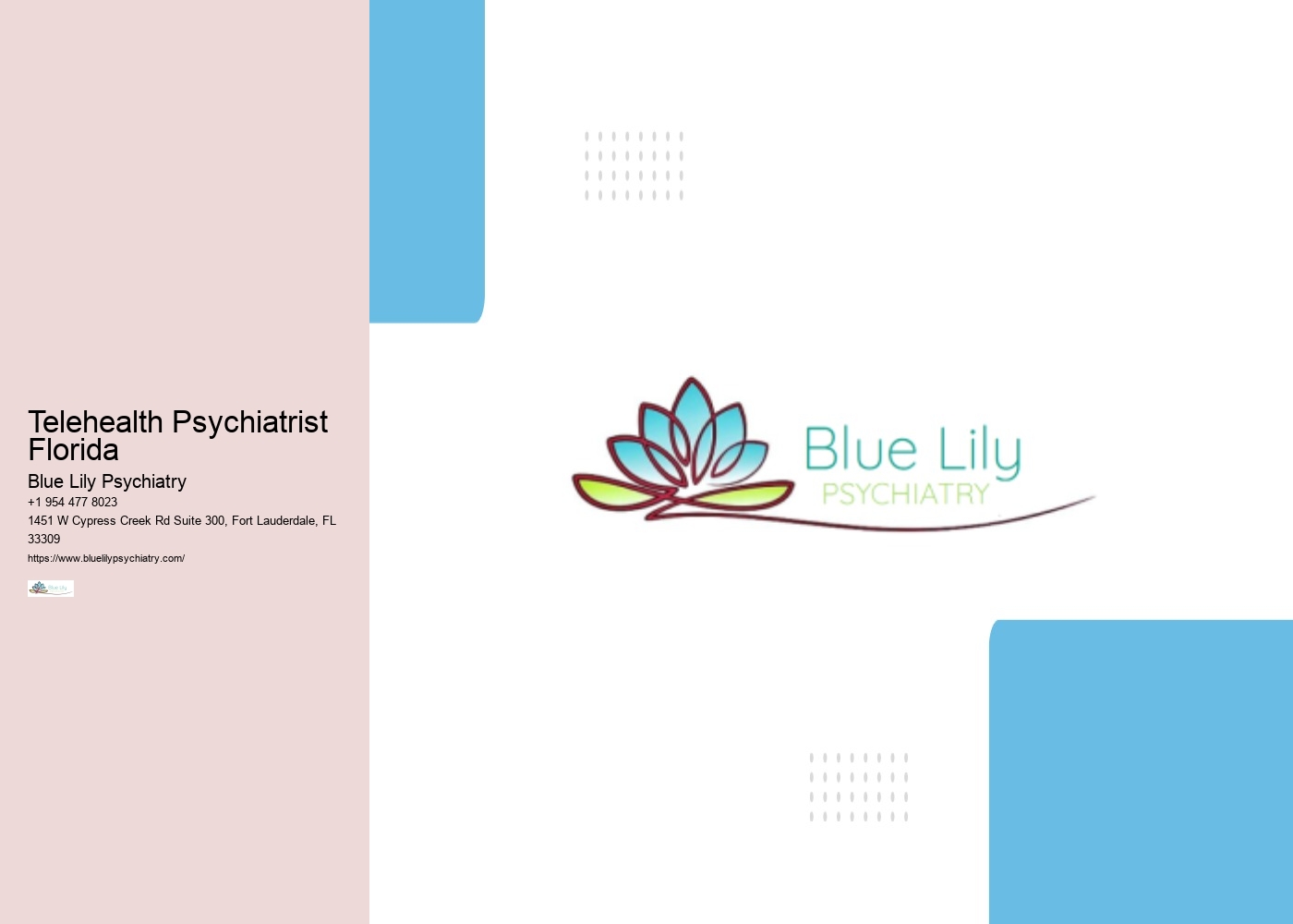 Telehealth Psychiatrist Florida