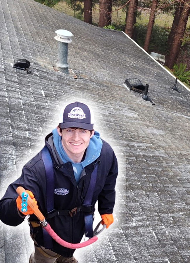 Professional Roof Cleaning Process