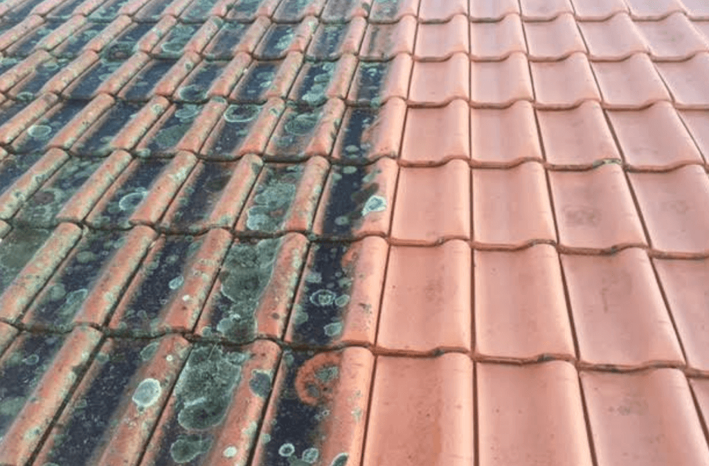 Frequency of Roof Maintenance