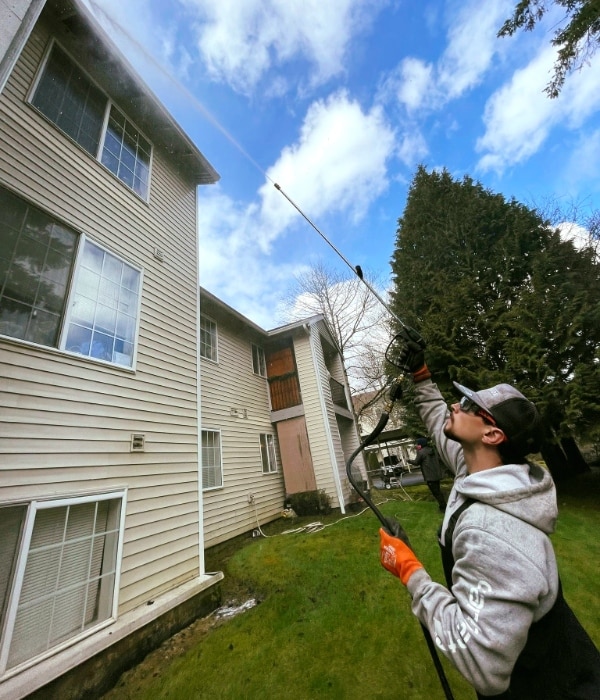 Hiring Professional Roof Cleaners