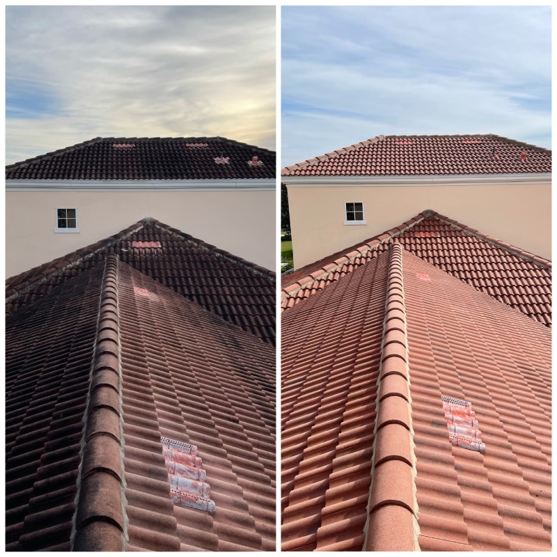 Eco-Friendly Roof Cleaning Solutions