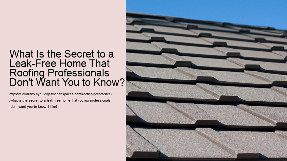 What Is the Secret to a Leak-Free Home That Roofing Professionals Don't Want You to Know?