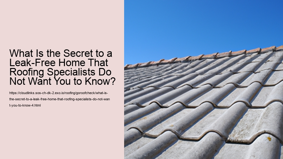 What Is the Secret to a Leak-Free Home That Roofing Specialists Do Not Want You to Know?