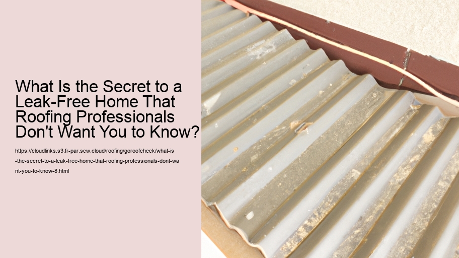 What Is the Secret to a Leak-Free Home That Roofing Professionals Don't Want You to Know?