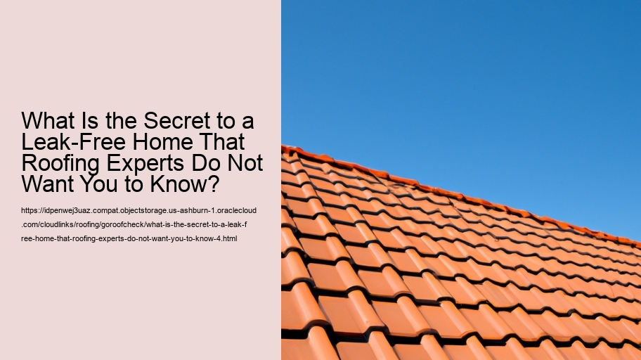 What Is the Secret to a Leak-Free Home That Roofing Experts Do Not Want You to Know?