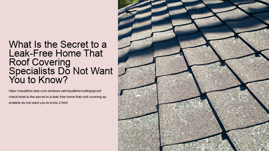 What Is the Secret to a Leak-Free Home That Roof Covering Specialists Do Not Want You to Know?