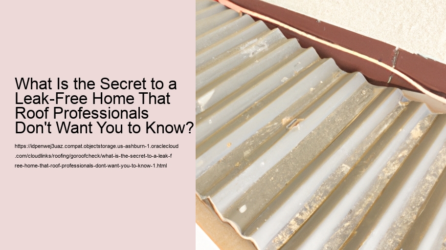 What Is the Secret to a Leak-Free Home That Roof Professionals Don't Want You to Know?