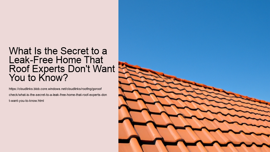 What Is the Secret to a Leak-Free Home That Roof Experts Don't Want You to Know?