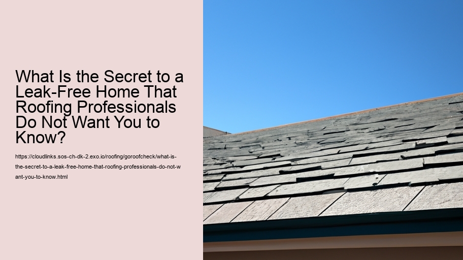 What Is the Secret to a Leak-Free Home That Roofing Professionals Do Not Want You to Know?