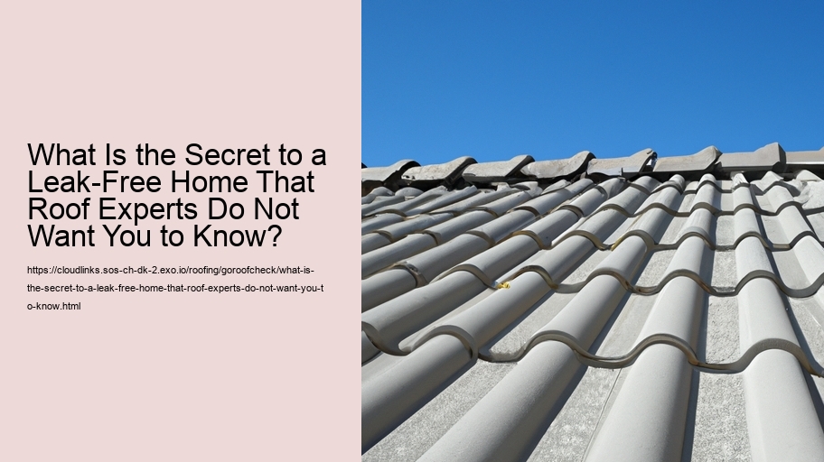 What Is the Secret to a Leak-Free Home That Roof Experts Do Not Want You to Know?