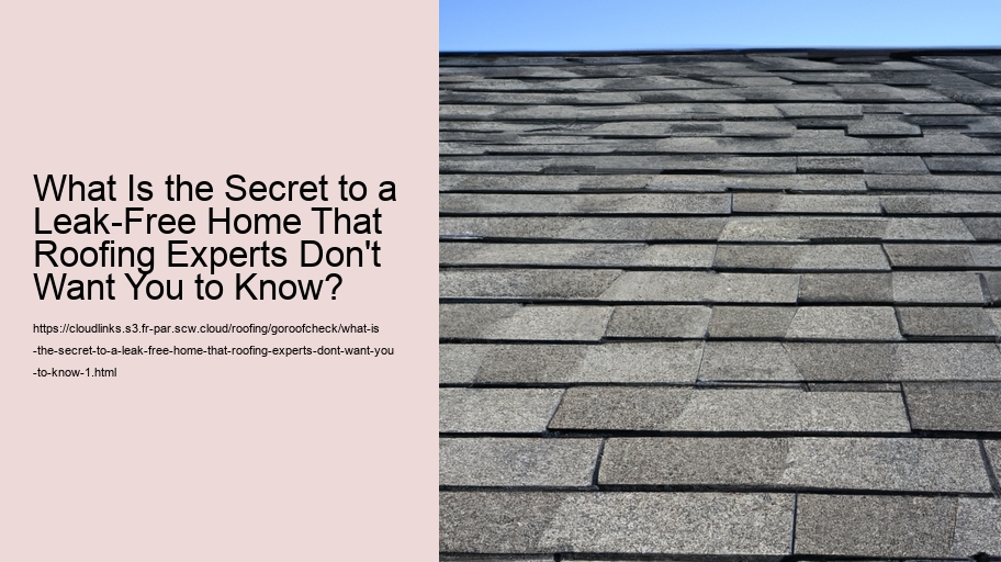 What Is the Secret to a Leak-Free Home That Roofing Experts Don't Want You to Know?