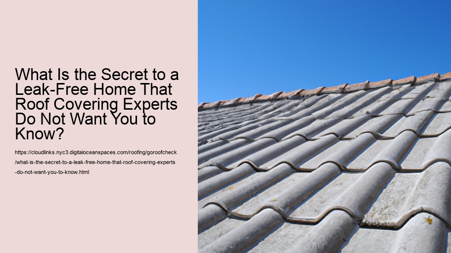 What Is the Secret to a Leak-Free Home That Roof Covering Experts Do Not Want You to Know?