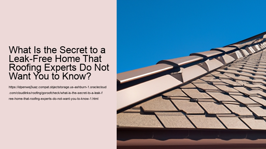 What Is the Secret to a Leak-Free Home That Roofing Experts Do Not Want You to Know?