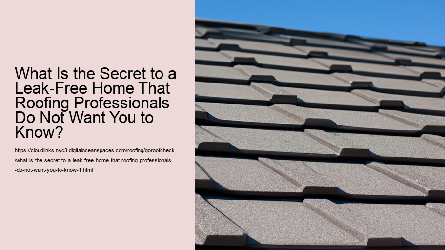 What Is the Secret to a Leak-Free Home That Roofing Professionals Do Not Want You to Know?